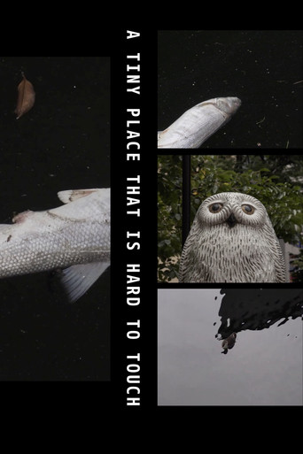 A Tiny Place That Is Hard to Touch poster