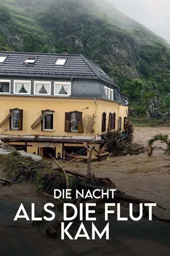 Die Nacht, als die Flut kam - Protokoll einer Klimakatastrophe poster