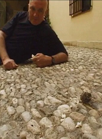 Scully in Malaga poster