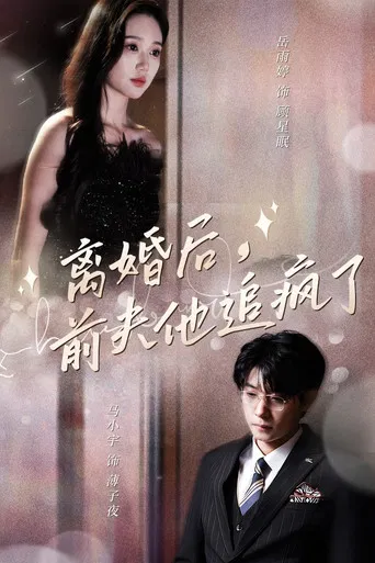 离婚后，前夫他追疯了 poster