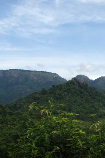 The Headman and I poster