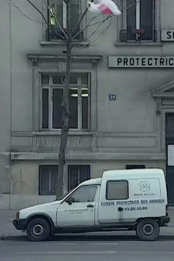 We Are All Cockroaches poster