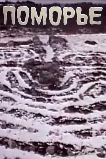 Pomorye poster
