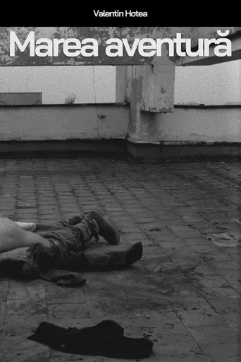 Marea aventură poster