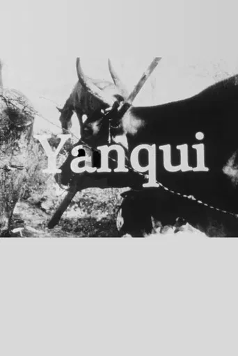 Yanqui WALKER and the OPTICAL REVOLUTION poster