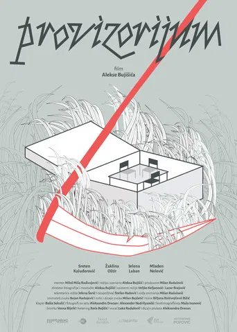 Provisorium poster