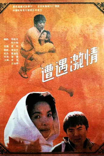 遭遇激情 poster