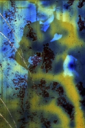 Nürnberg Filmvilla poster