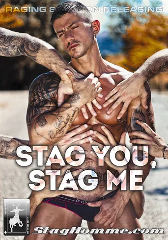 Stag You, Stag Me poster