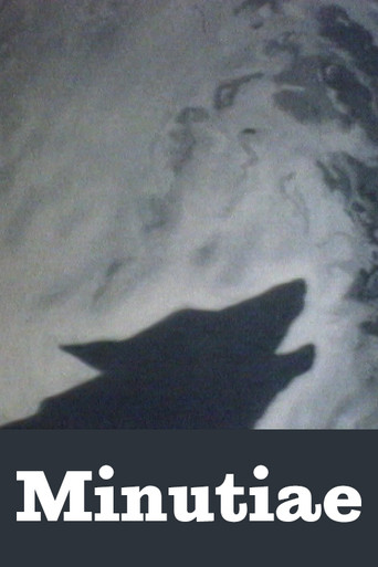 Minutiae poster
