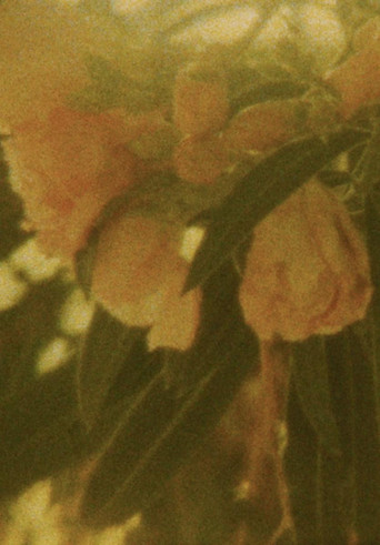 Seasons/Patterns poster