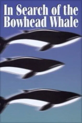 In Search of the Bowhead Whale poster