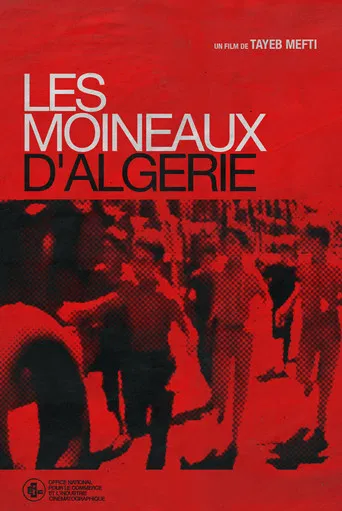 Les Moineaux d'Algérie poster