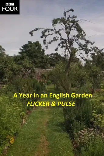 Flicker & Pulse poster