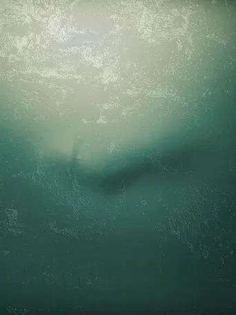 I Don't Want to Walk Alone poster