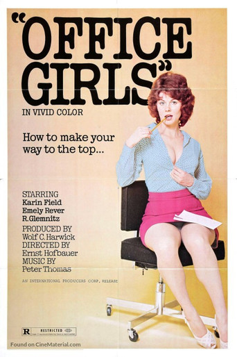 Sex in the Office poster