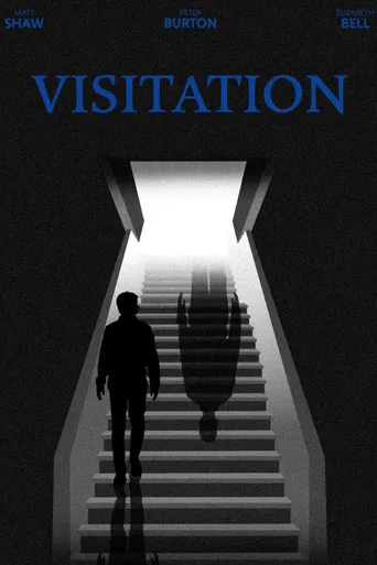 Visitation poster