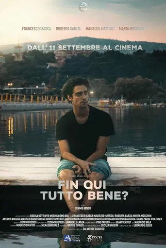 Fin qui tutto bene? poster