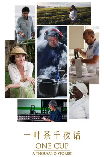 One Cup, A Thousand Stories poster