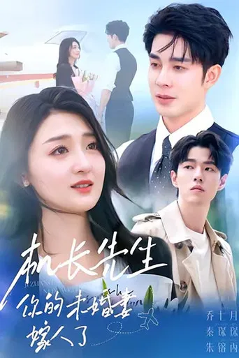 机长先生，你的未婚妻嫁人了 poster