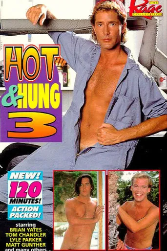 Hot & Hung 3 poster