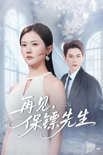 再见，保镖先生 poster