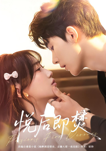 Burn After Bliss poster