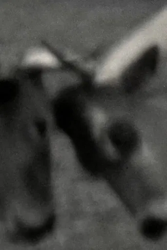 Videogramas #5 poster