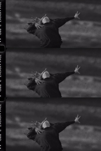 Big Black Delta: Summoner poster