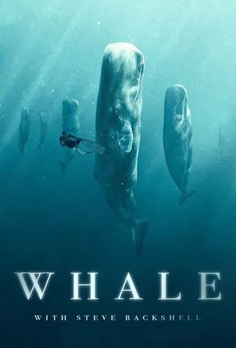 Whale with Steve Backshall poster
