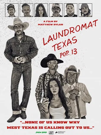 Laundromat, Texas poster