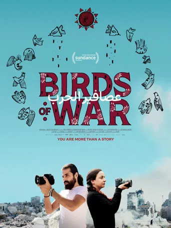 Birds of War poster