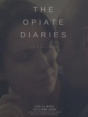 The Opiate Diaries poster