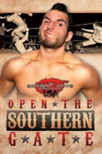 Dragon Gate USA Open The Southern Gate poster