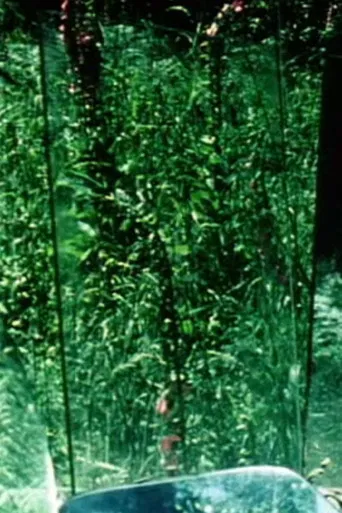 Peripeteia II poster