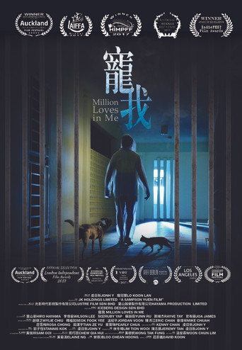Million Loves in Me poster