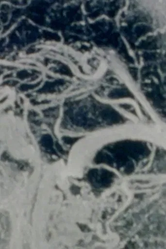 Histories of Simulated Intimacy poster