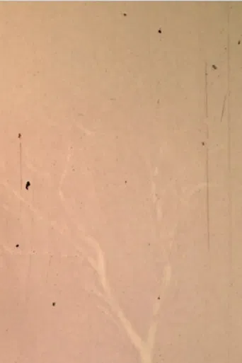 The Lull the Going poster