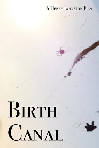 Birth Canal poster