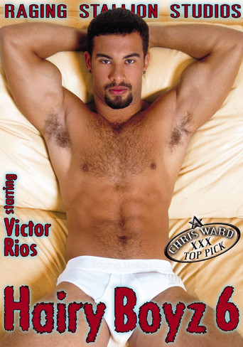 Hairy Boyz 6 poster