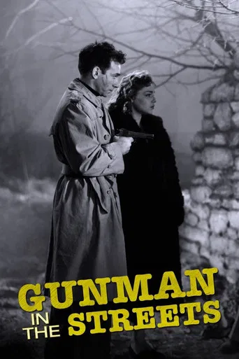 Gunman in the Streets poster