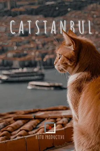 Catstanbul poster