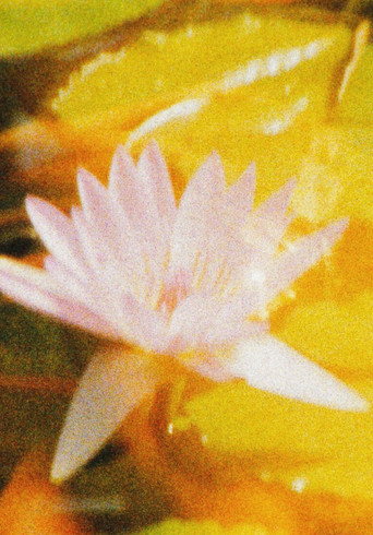 Nuestro Fuji (Una postal) poster