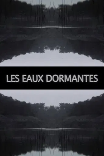 Les Eaux dormantes poster