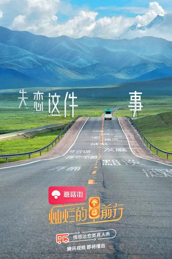 灿烂的前行 poster