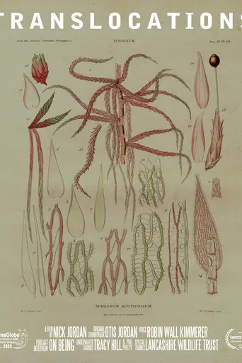 Translocations poster