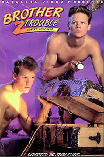 Brother Trouble 2: Coming Together poster