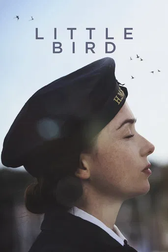 Little Bird poster