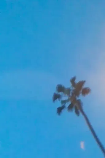 What's a Life? (Tio's Remix) poster