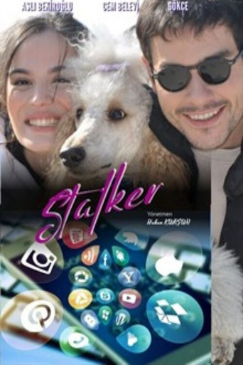 Stalker poster